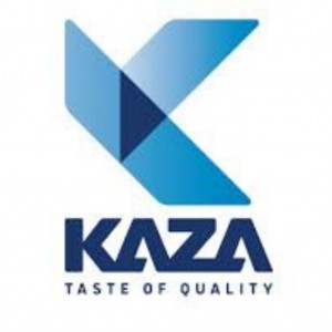 Kaza sistemi